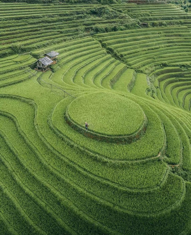Lost in the mesmerizing terraced fields of Mù Cang Chai, where nature paints a breathtaking masterpiece!🌾🏞️