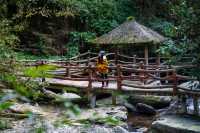貴州第一溝，空氣罐頭亞木溝
