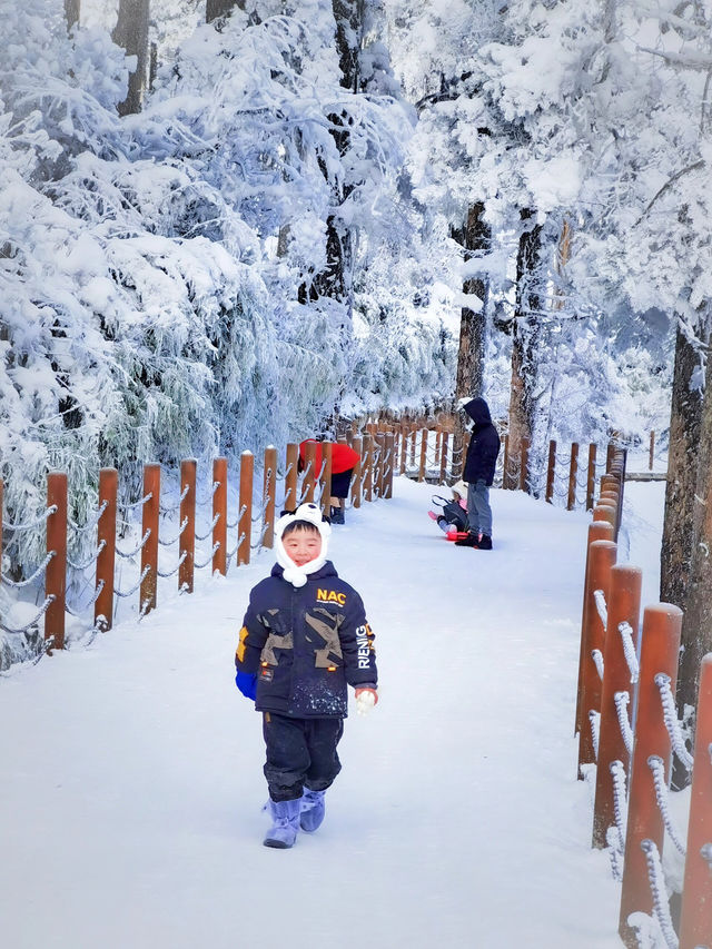 成都周邊｜比北海道還美的夢幻雪國森林|||