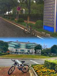 一條信息帶你了解南京城市CityWalk路線