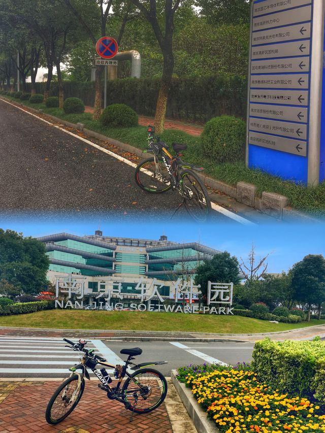 一條信息帶你了解南京城市CityWalk路線