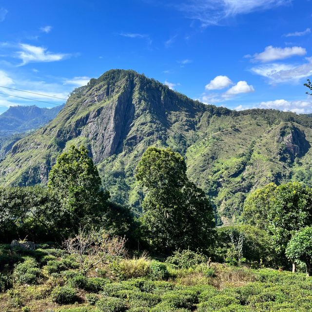 Little Adam’s Peak