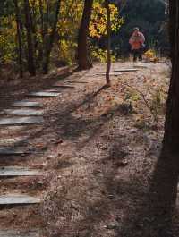 綿陽近郊免費寶藏森林公園