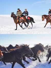 新疆伊犁昭蘇不僅有天馬還有馬踏飛雪