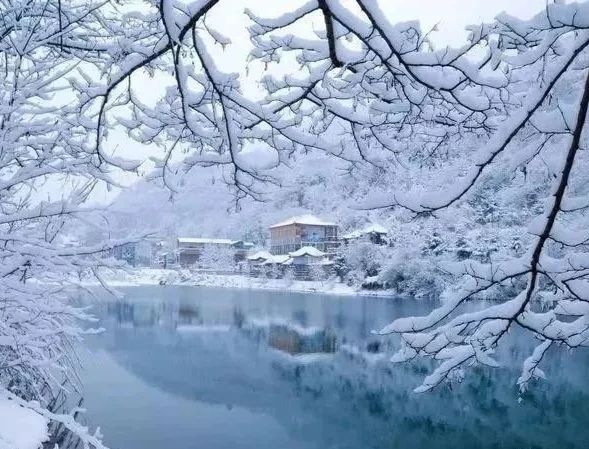 冬日限定：邂逅官鵝溝絕美冰瀑冬雪