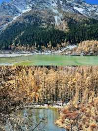 川西人少景美狗狗友好景區瑪嘉溝，強推!