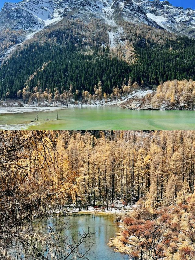 川西人少景美狗狗友好景區瑪嘉溝，強推!