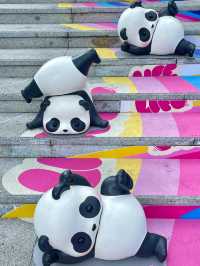 Panda Roll 華南首展印力中心