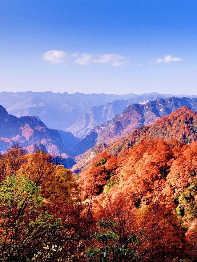 光霧山：3天邂逅一場秋天的童話