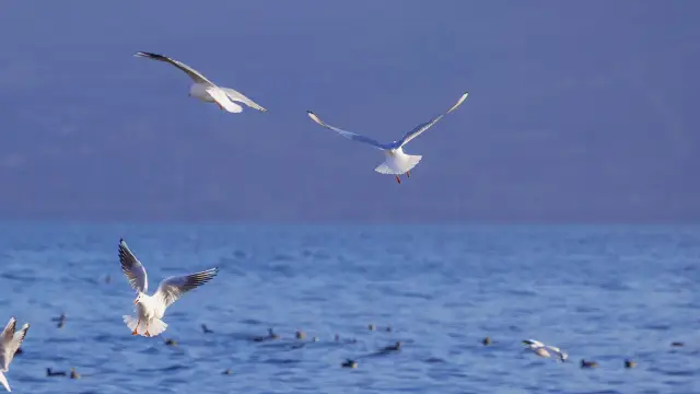 달리로 가세요! 바람이 있는 곳으로 가세요, 류이페이와 같은 촬영지