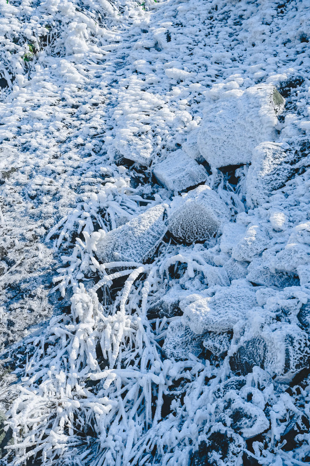 廣州周邊看雪聖地，雲端賞冰雪霧凇奇觀