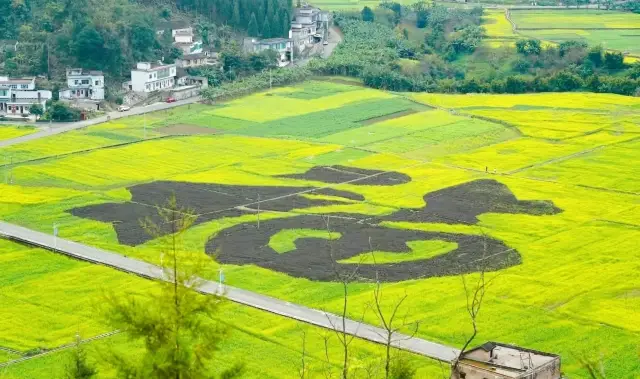 The Ultimate Guide to Flower Season in Guizhou
