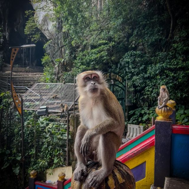 Batu caves? More like beautiful caves!