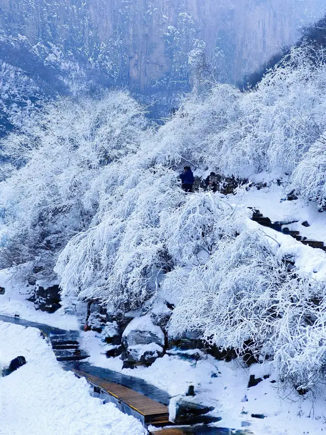 雲台山絕美冰瀑闖入冰雪童話世界