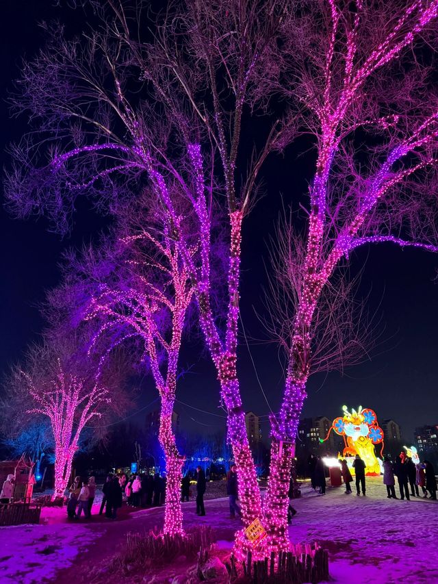 呼和浩特小草公園燈展遊玩攻略