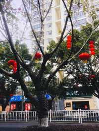 歡迎來廈門過年