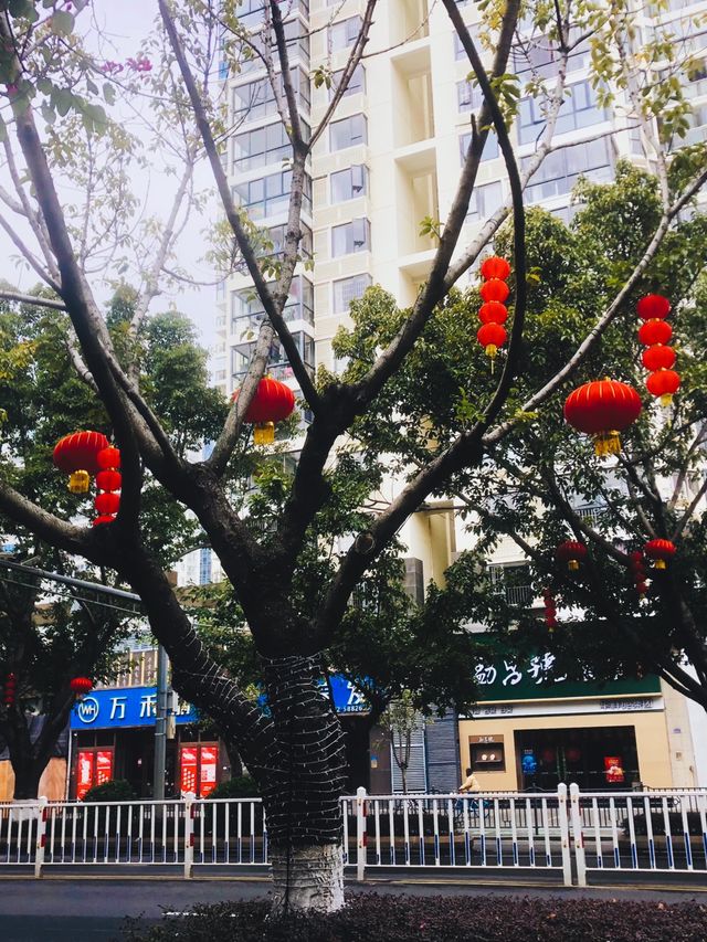 歡迎來廈門過年 歡迎來廈門過年