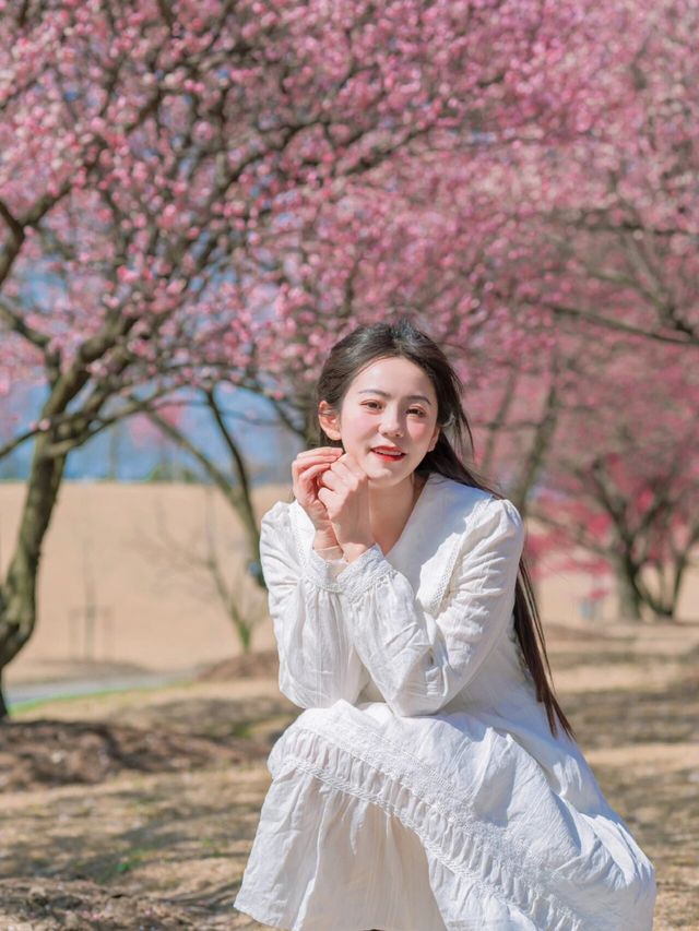 上海賞花這個公園簡直是花的海洋