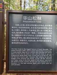 楚雄市牟定縣化佛山風景區