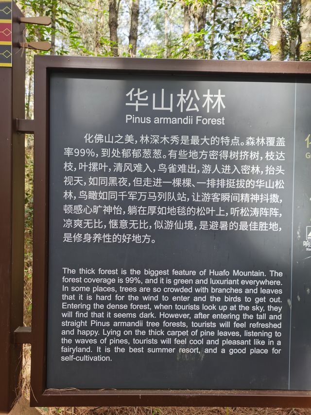 楚雄市牟定縣化佛山風景區