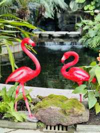 上海植物園溫室展