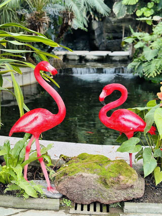 上海植物園溫室展