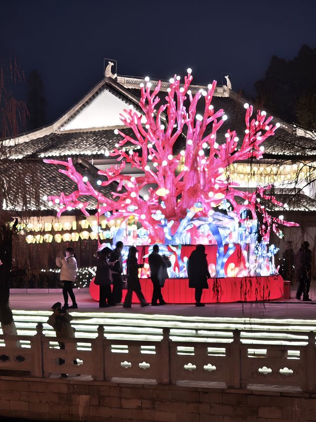 N刷白鹭洲公園巨詳細遊玩攻略