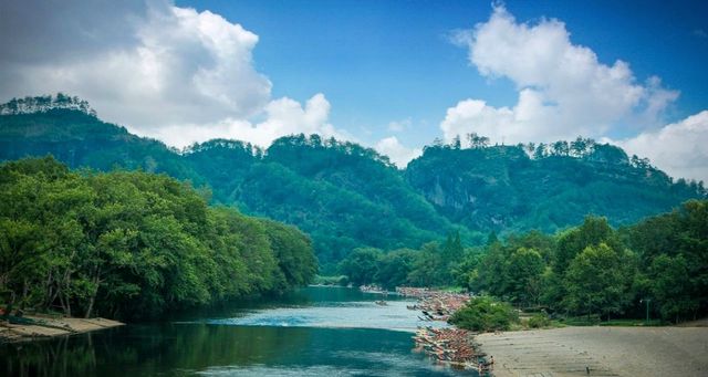 武夷山 | 來山裡當神仙，在這間可以住的茶院