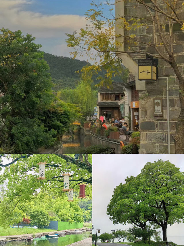 東錢湖 | 比杭州還大三倍的淡水湖秋天太美了