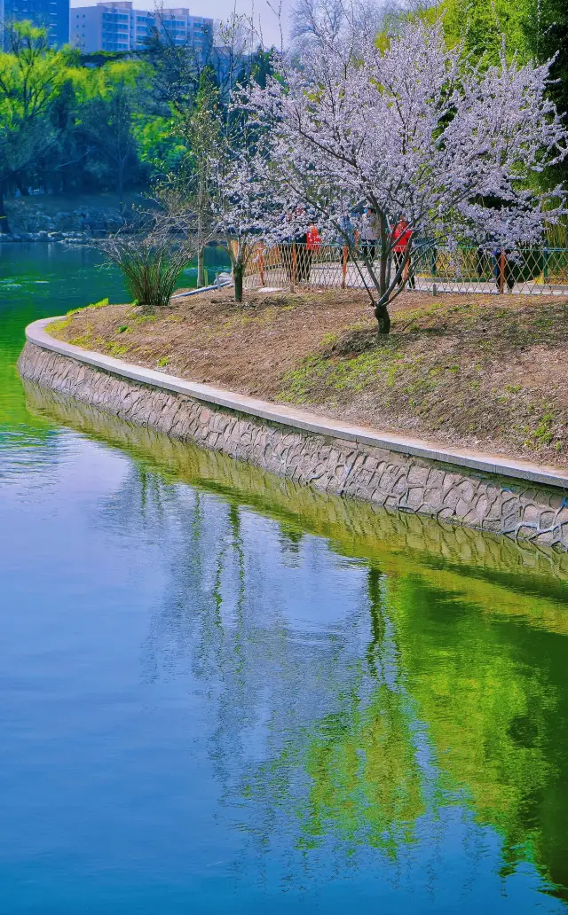 It's not the south of the Yangtze River, it's a park within the Third Ring of Beijing that you must visit