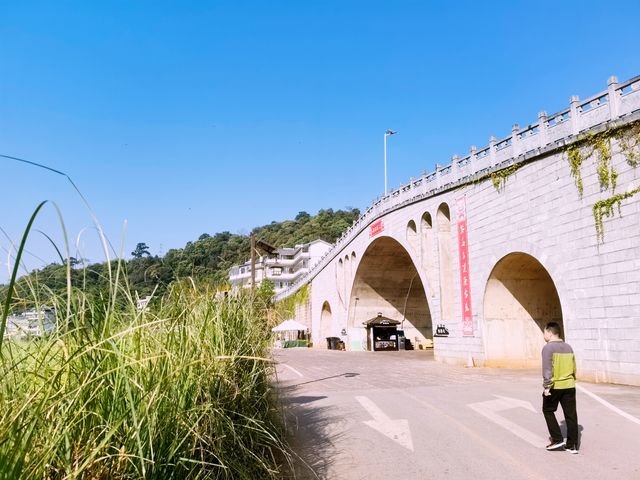 普洱茶馬古道—免門票、免停車費｜｜你玩得可真花啊！