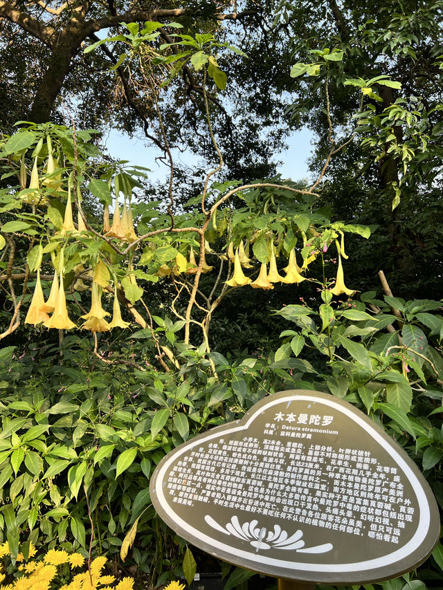 天氣晴朗的時候來龍潭公園走走吧～