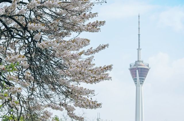 春天不是打工日，快去感受春天吧