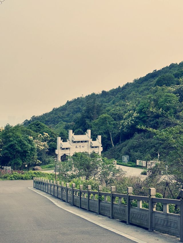 深圳徒步|週末來爬陽台山啦和我的爬山搭子日常