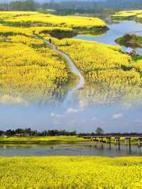 成都“小江南” | 邛崃兩河村千畝油菜花田