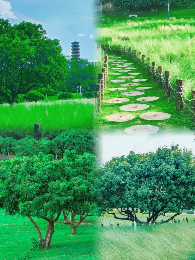 In Shenzhen, you can find the Miyazaki Hayao-themed Kusakai Park