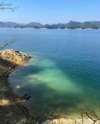 浙江杭州·千岛湖|一鲸落 萬物生