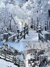 不是挪威去不起，而是西岭雪山更有性價比