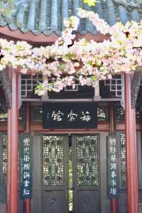 成都棠湖公園「柔枝恰恰語流鶯，西府名花冠蜀城