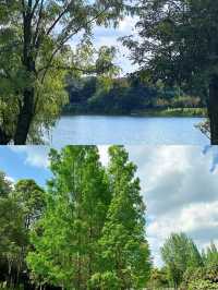 成都大草原·雙流中心公園