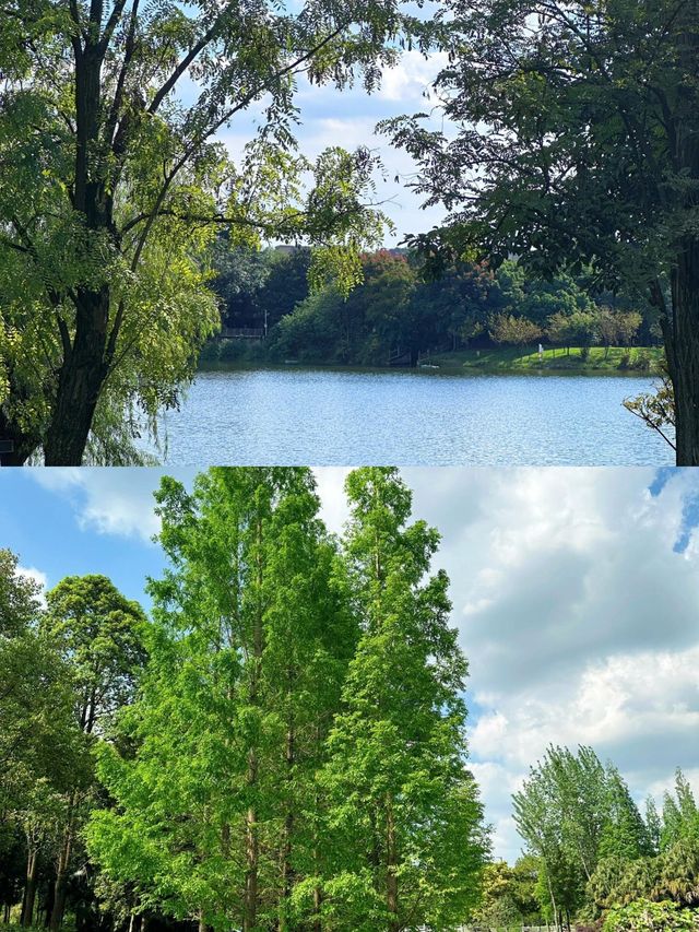 成都大草原·雙流中心公園