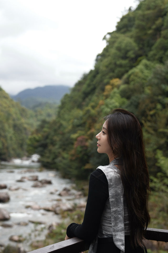 五一旅遊｜廣東周邊曲徑通幽處的林海雅居