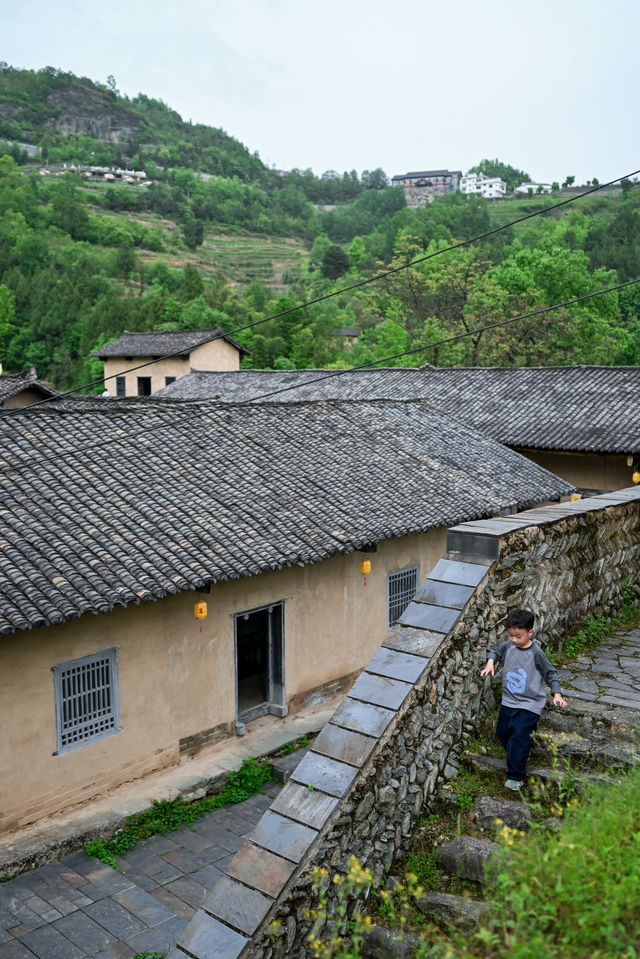 陝南避暑1日遊住進了可以看雲海的小房子