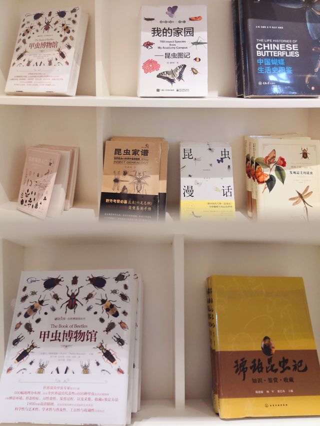 南京夏日新去處—園林裡的別樣書店
