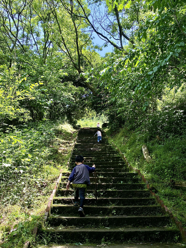 成都1h，穿越森林之門感受春和景明