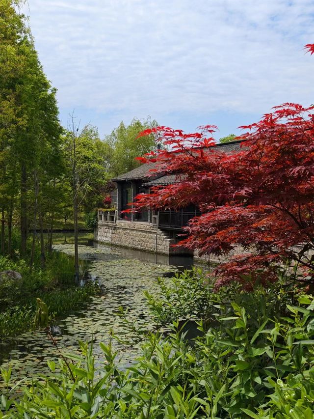 東台天仙緣—西溪景區
