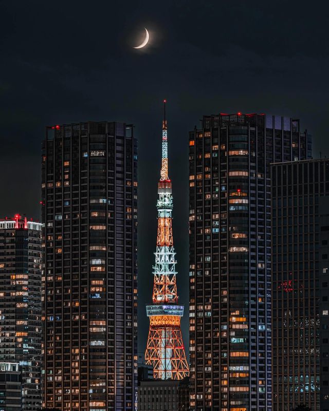 「東京塔：飛翔於城市天際線中，驚艷全景！」