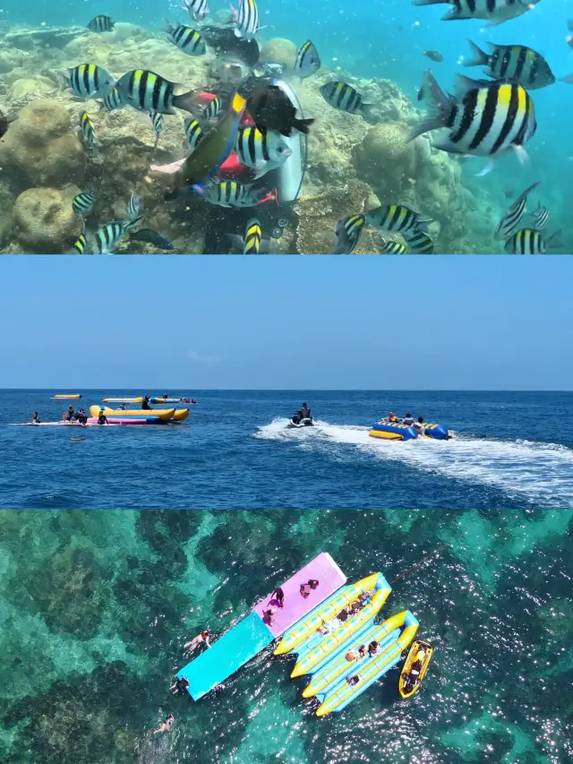 萬寧｜在玻璃海裡潛水 在海裡感受星空