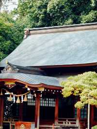 【熊本】出水神社：歷史悠久絕佳春遊去處