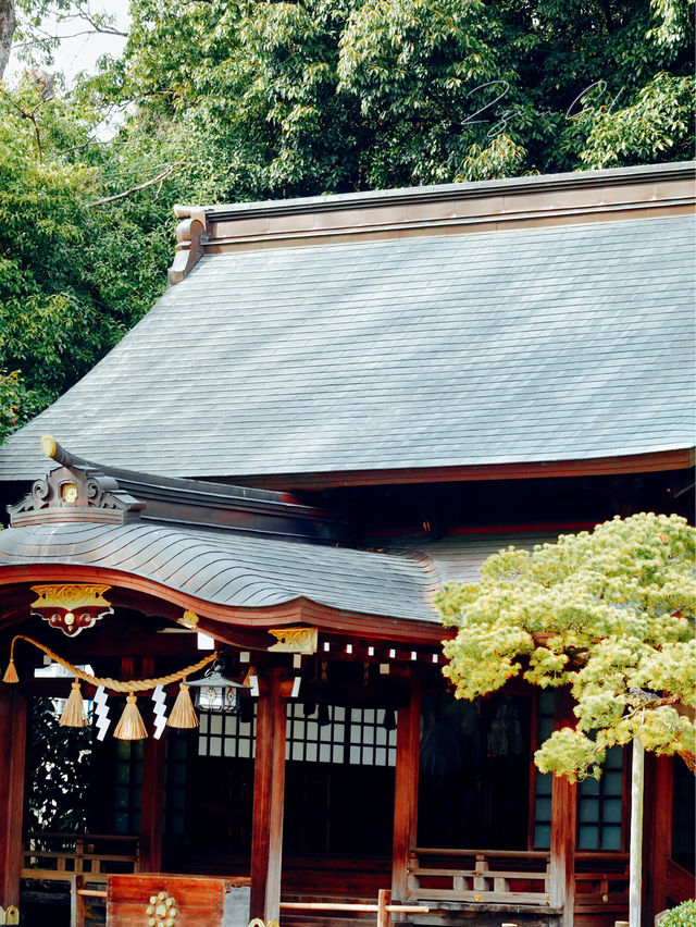 【熊本】出水神社：歷史悠久絕佳春遊去處